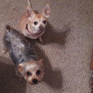 Meet your Posher, Paula